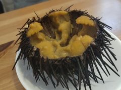 -海胆小馆(东北水饺·春柳店)