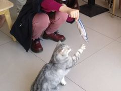 -平行世界·猫咖(首经贸店)