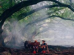 -小皓村