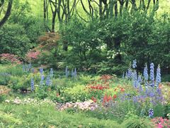 -上海共青森林公园