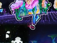 -国际非物质文化遗产博览园