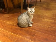 -H立方实景剧情密室(天河旗舰店)