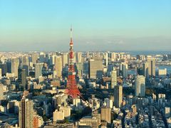 -六本木新城展望台(东京城市景观)