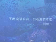 -新世界大丸百货