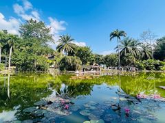 -中国科学院西双版纳热带植物园