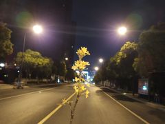 -我们家私房纸包鱼·烧烤