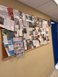 点击看大图 -杭州贝瑞斯美华妇儿医院·早孕·产检·儿科