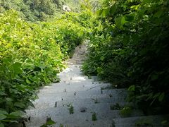 -鲁山国家森林公园