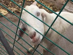 -上海多利农业发展有限公司