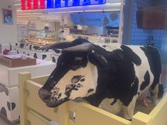 -红星前进面包牛奶公司(君太店)