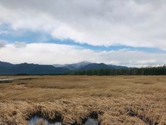 -野鸭湖国家湿地公园