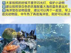 -北京海洋馆