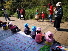 -蕃茄田艺术•美术绘画 •硬笔书法(滨江海威领界店)