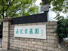 -嘉定紫藤园