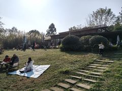 -桤木河湿地公园