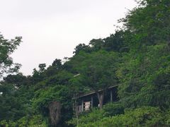 -青青世界