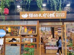 -猫的天空之城概念书店(杭州南宋御街店)