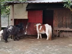 -武汉紫薇都市田园