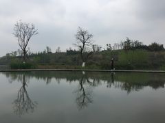 -白鹭湾湿地公园