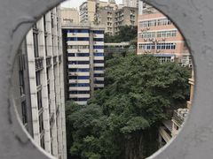 -一只酸奶牛(奎星楼店)