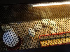 -吉隆坡雀鸟公园