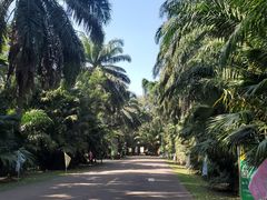 -海南热带野生动植物园