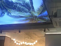 -探窝·竹笙椰子鸡(杨箕店)