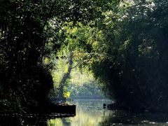 -西溪国家湿地公园