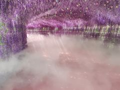 -天津方特欢乐世界