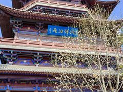 -南京眼步行桥