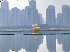 -武汉动物园