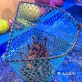 兴盛路新店，专注大头虾的海鲜大排档 