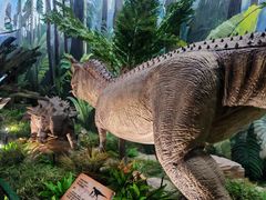 -陕西自然博物馆