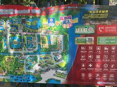 -广州长隆飞鸟乐园