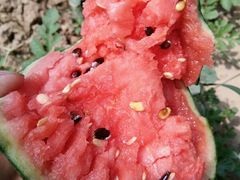 -西瓜小镇
