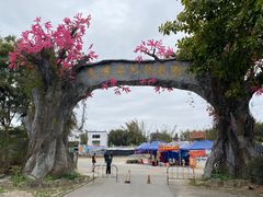 -天适樱花悠乐园