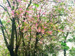 iphone_upload_pic-华南师范大学(广州大学城校区)