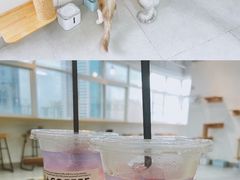 -Heymao猫咖.咖啡厅(东门店)