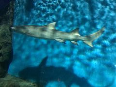 -福州罗源湾海洋世界旅游区