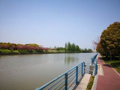 -高东镇樱花园