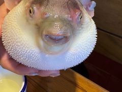 -永安鱼庄·镇江菜(丁卯店)