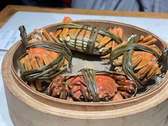 -杨氏青龙虾·羊蝎子(金盛路总店)
