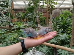 -南宫五洲植物乐园