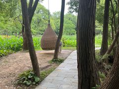 -东湖落雁景区