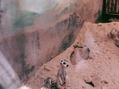 -昆明动物园