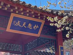 -桃花堤公园