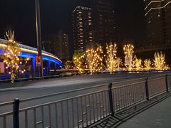 -来龙里 精致 东南亚餐室(万象城店)