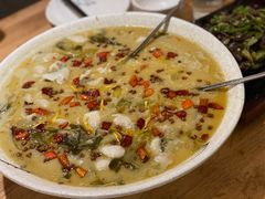 菊花酸菜鱼-渝人码头 川菜店 Chungking Szechuan Cuisine