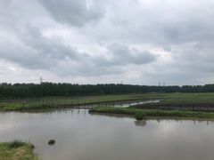 -溱湖国家湿地公园