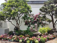 -同得兴 Since·1995 传统苏式面馆(嘉馀坊店)